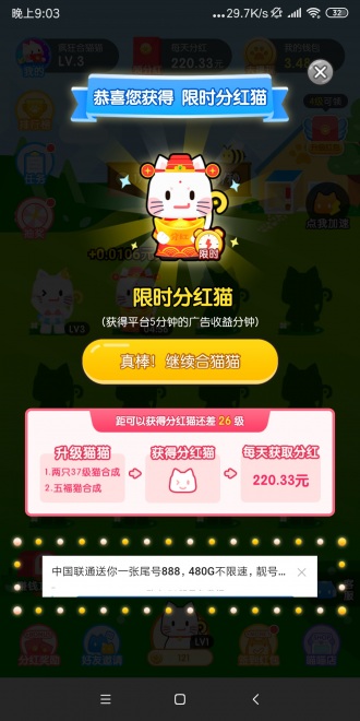 疯狂合猫猫