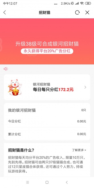 养猫联盟