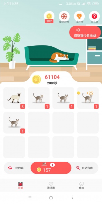 养猫联盟